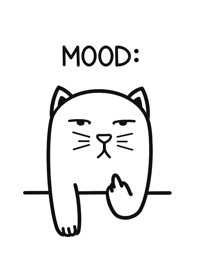 Funny Cat Mood Middle Finger