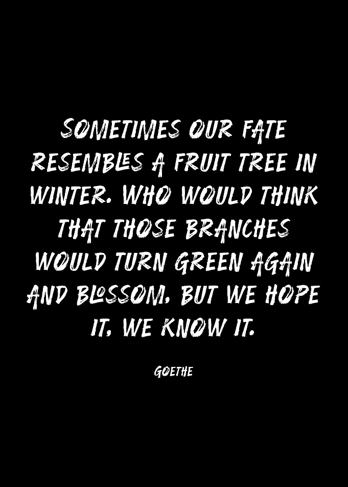 Goethe quote about fate and hope