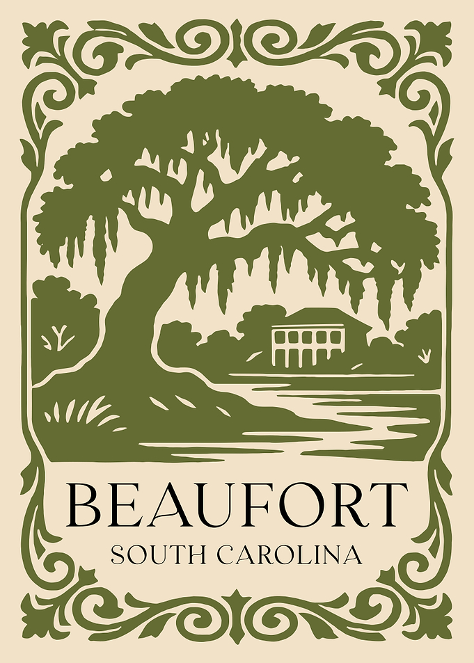 Beaufort South Carolina Oak Tree