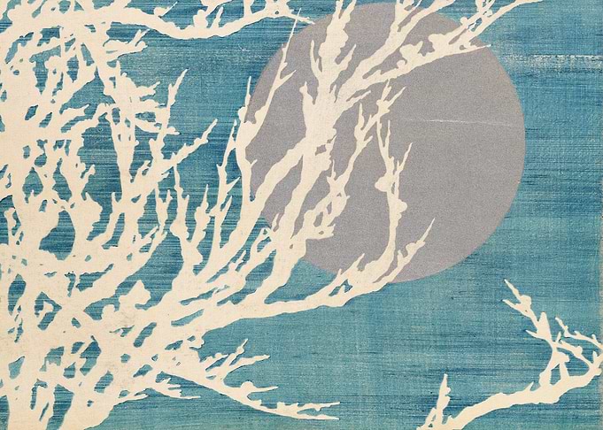 Bare Branches Against a Blue Sky with Moon