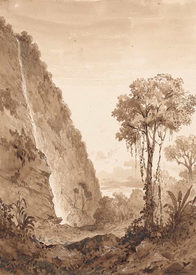 Waterfall and Tropical Landscape