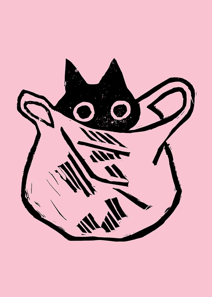 Black Cat Peeking Out of Bag