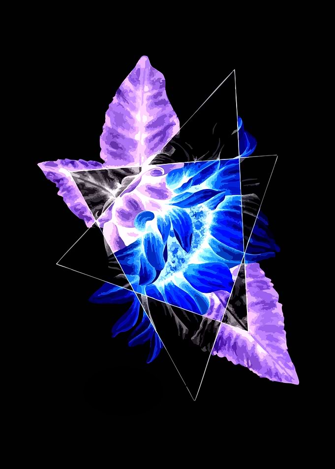 Abstract Floral Geometric Design