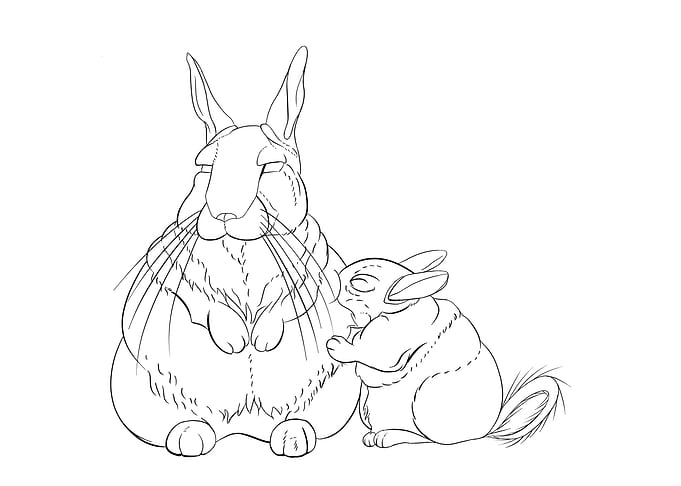Two mountain viscacha cuddling