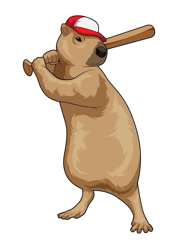 Capybara Baseball Baseball bat