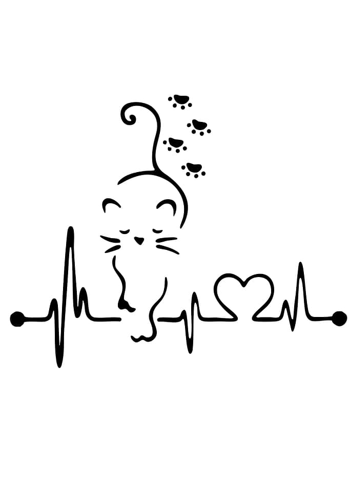 Cat Heartbeat EKG