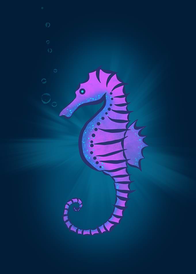 Seahorse