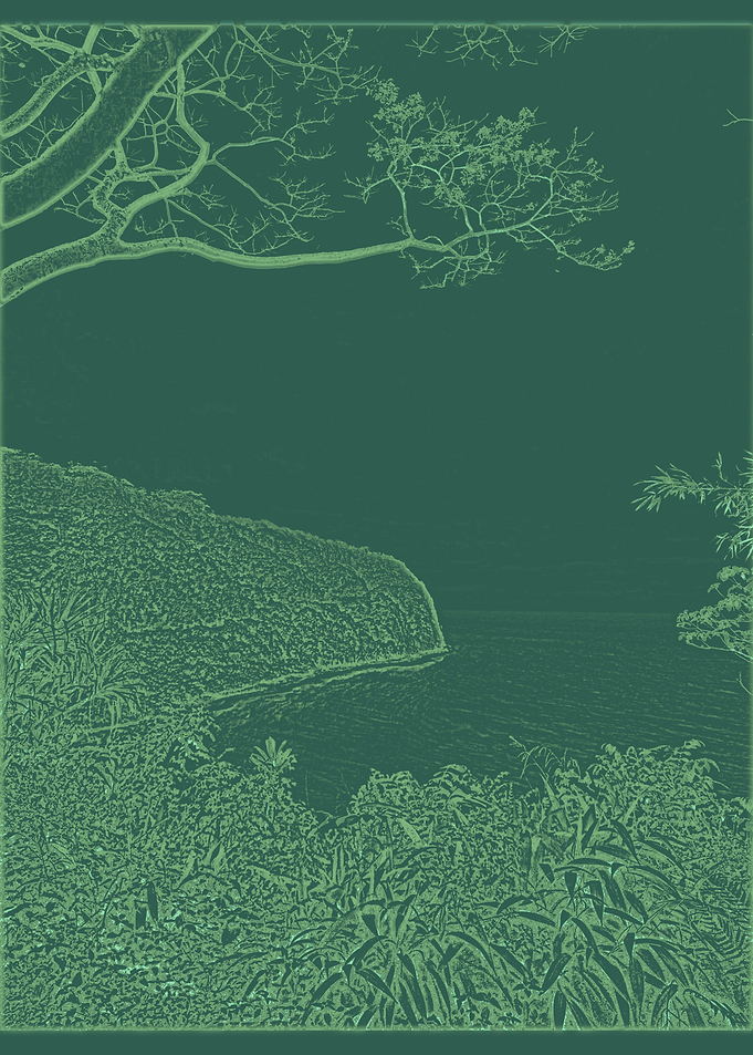 Coastal Landscape with Overhanging Branches
