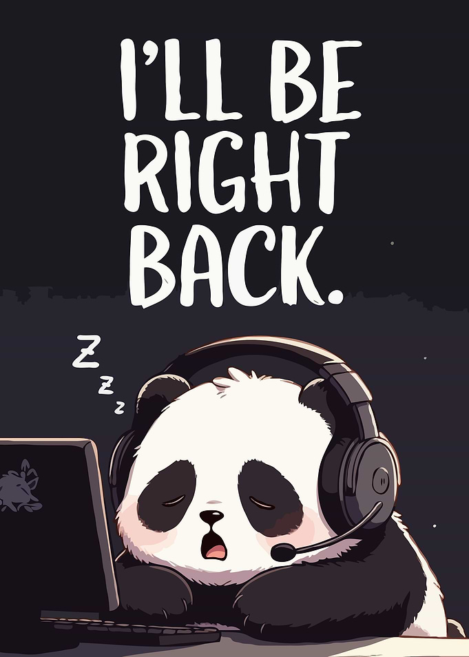 Sleeping Panda Gamer