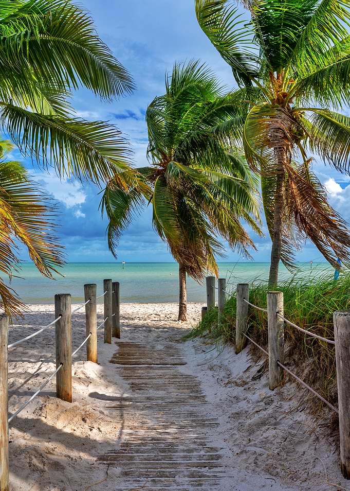 Tropical Beach