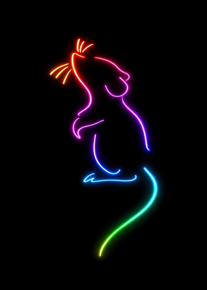 Neon Cat Silhouette