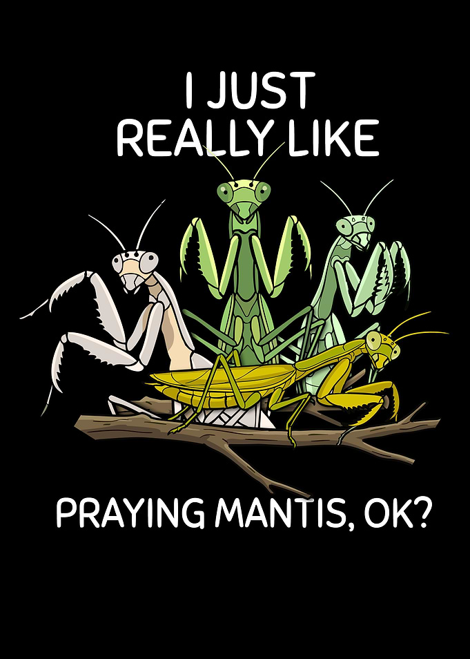 Praying Mantis Lover Kids Insects Boys Praying Mantis