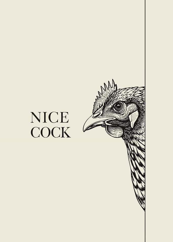 Rooster Nice cock