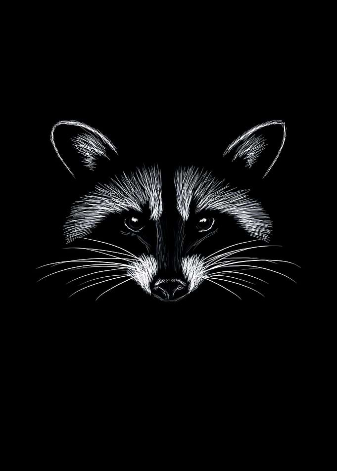Minimalist Raccoon Sketch