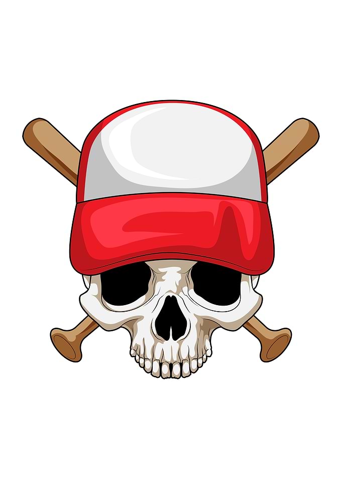 Skull Baseball Baseball bat