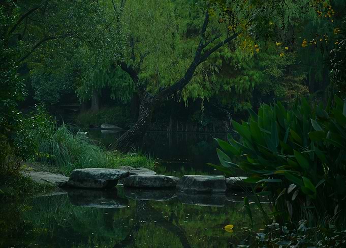 Stepping stones across a tranquil pond
