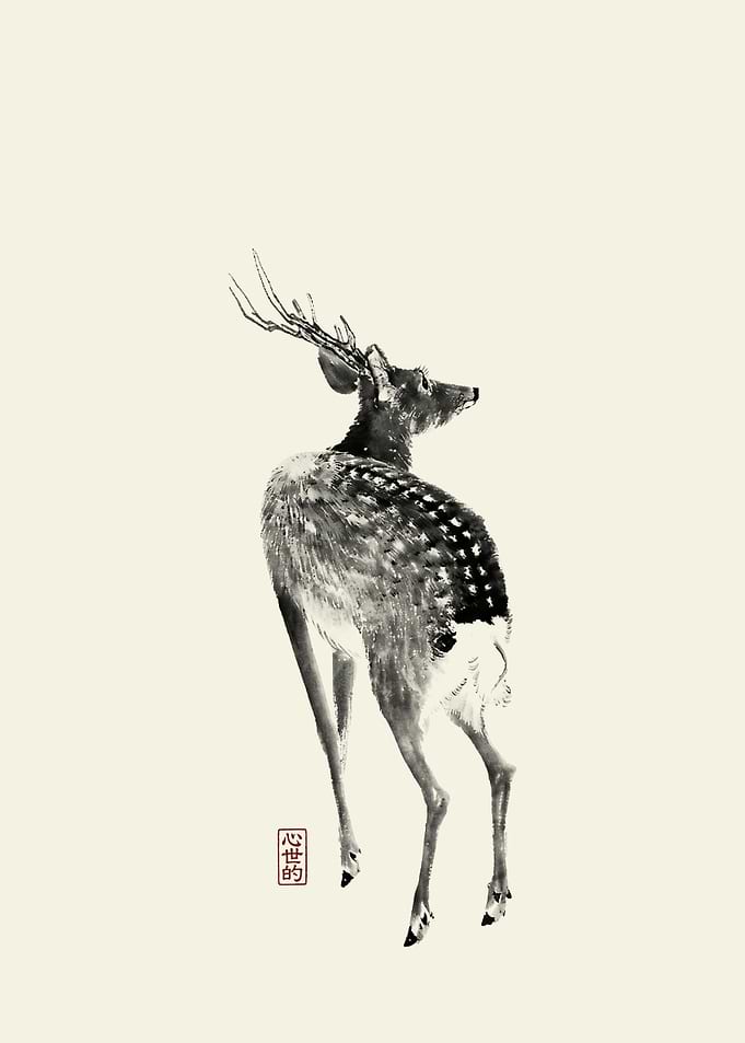 Curious Deer
