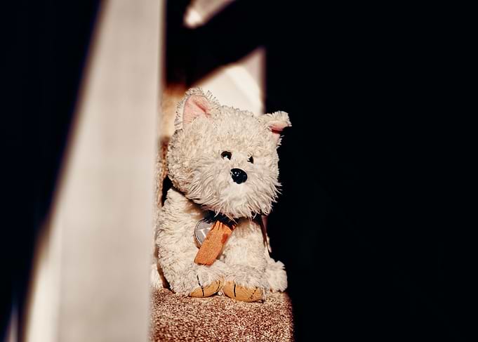 Plush dog sitting on stairs