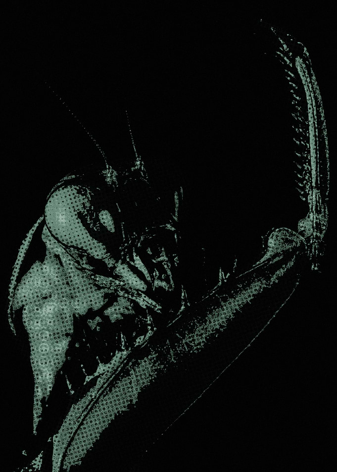 Praying Mantis Grudge Retro