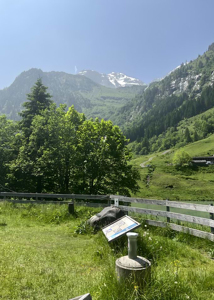 Mountain Landscape with Lake and Trees