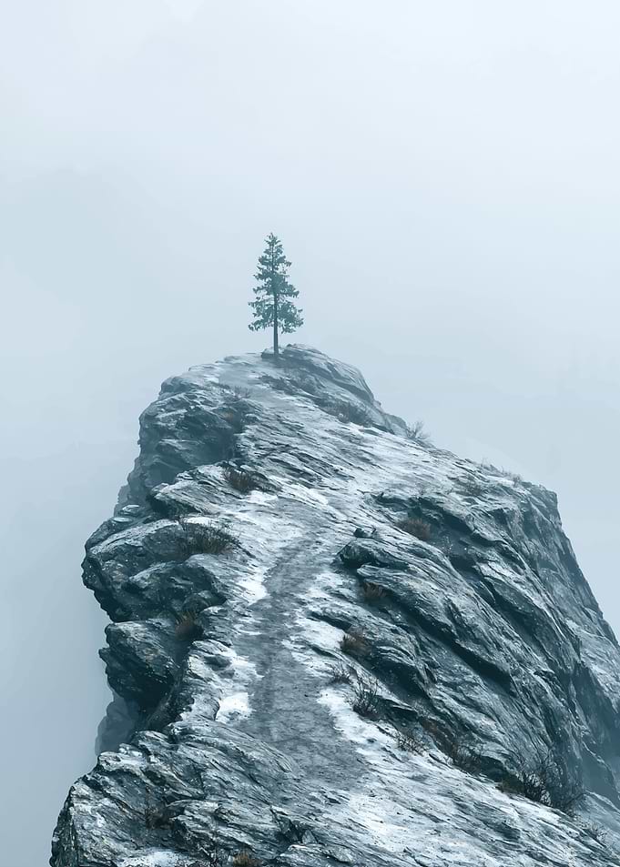 Lone Tree on Snowy Mountain Peak