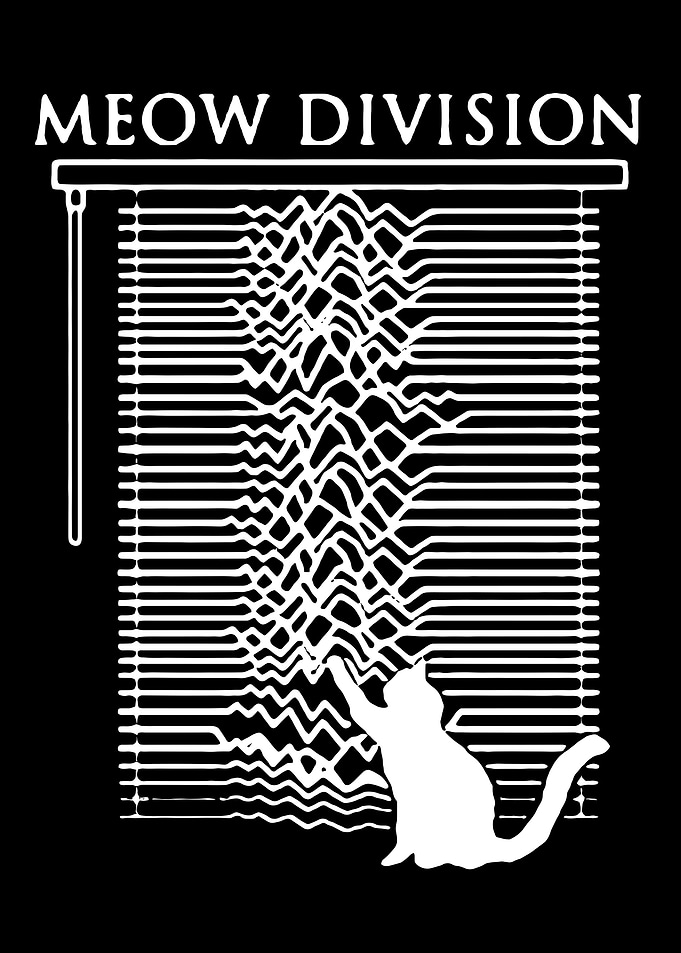 Meow Division Cat and Blinds