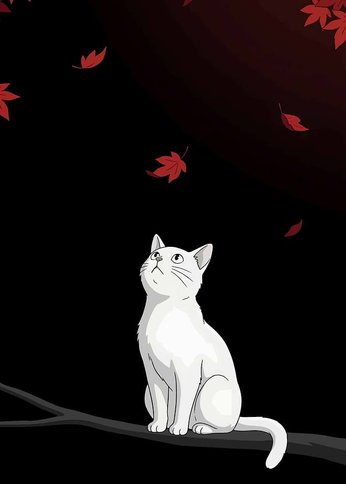 White Cat Watching Falling Leaves