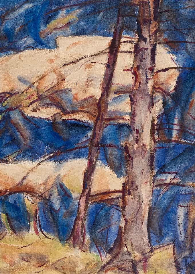 Bare Conifers