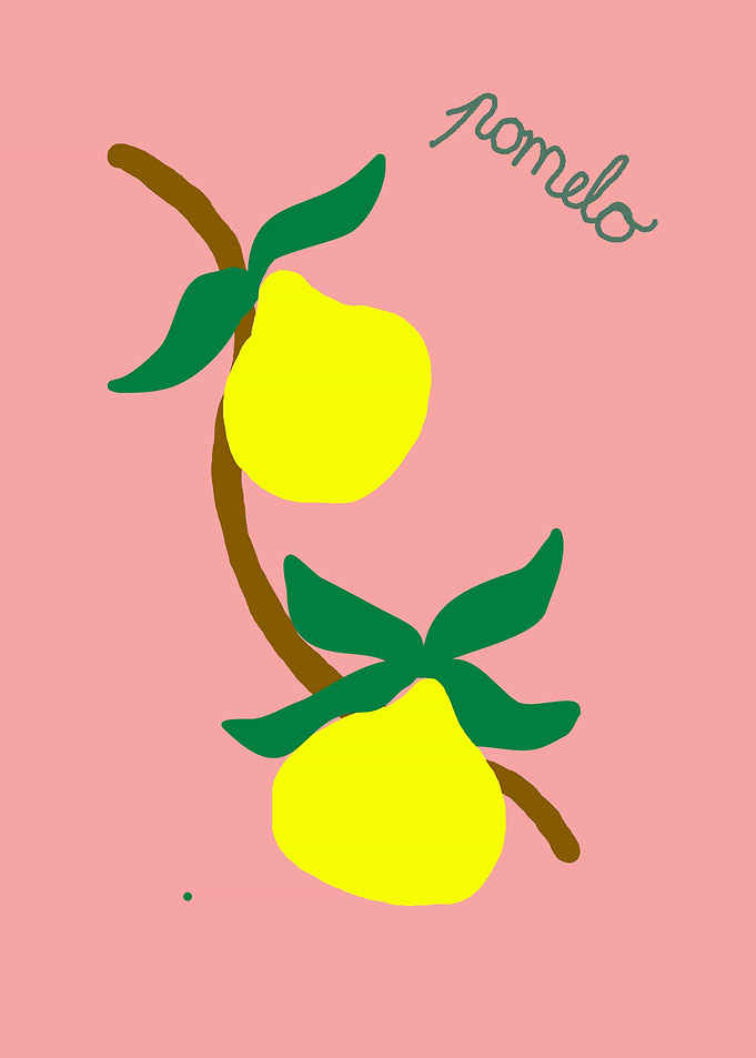 Pomelo Fruit on a Branch