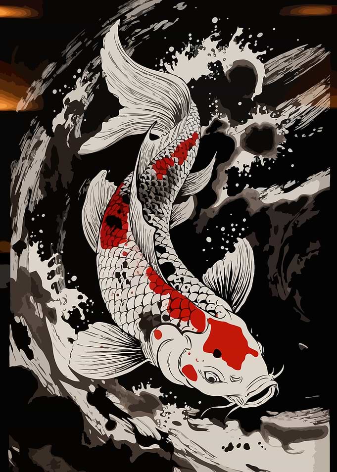 Koi Fish in Water