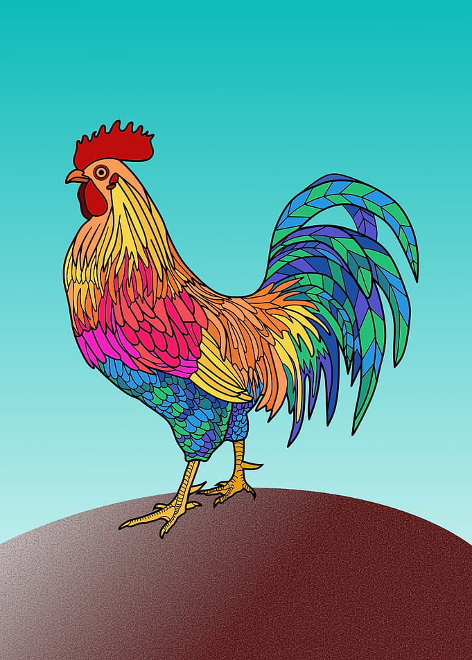 Colorful Rooster on a Hill