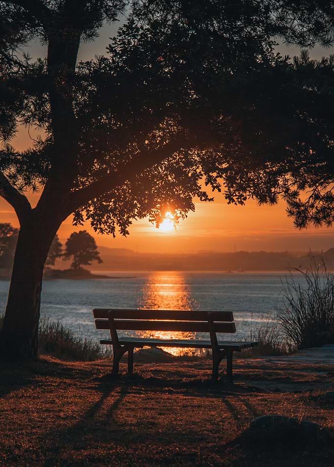 Serene Sunset Bench by the Water