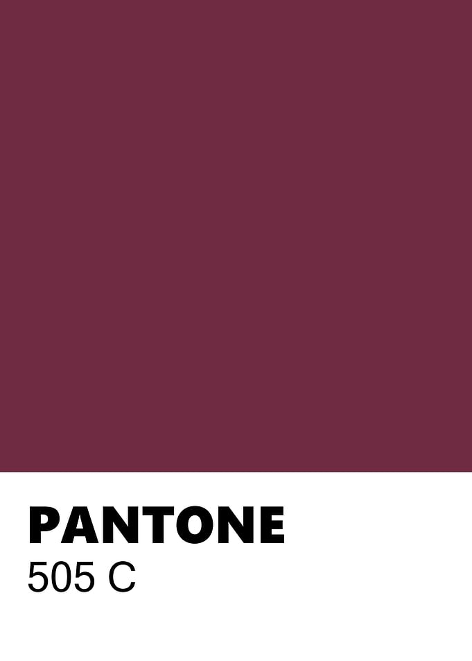 Pantone 505 C Color Swatch