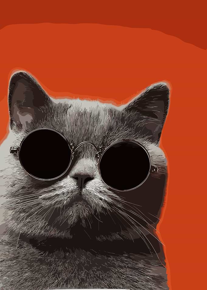 Cat Wearing Round Sunglasses