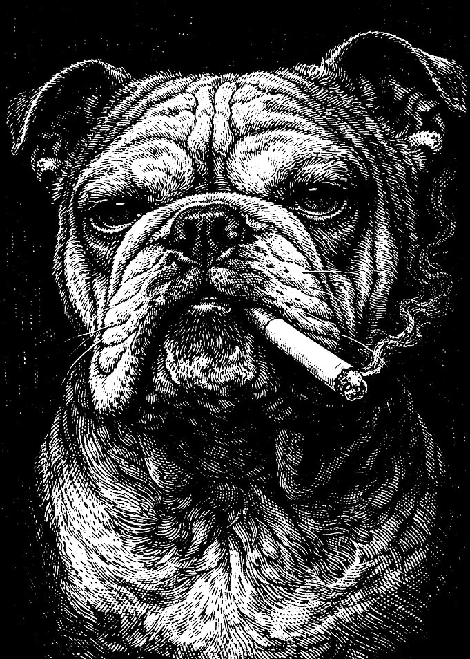 Bulldog Smoking a Cigarette