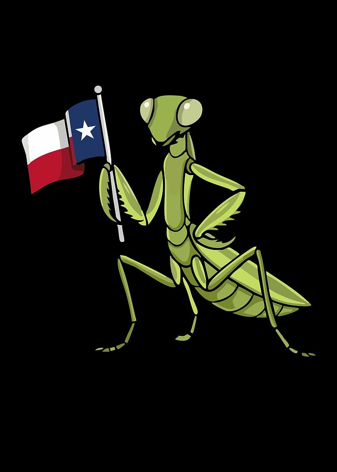 Praying Mantis Holding Texas Flag