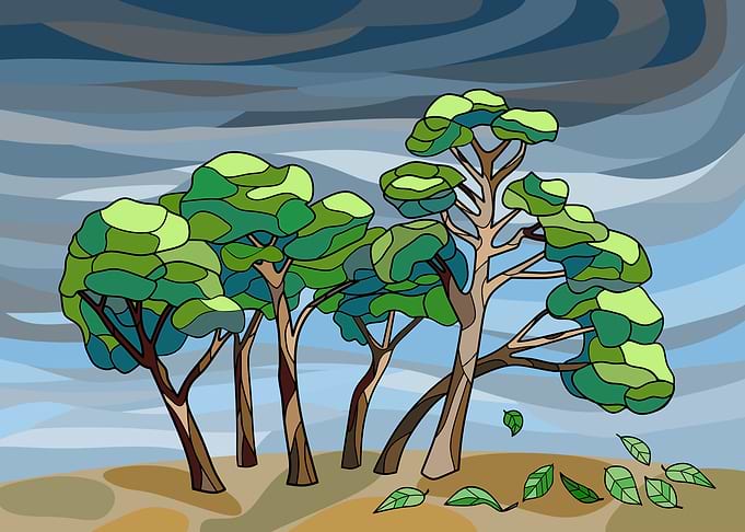 Windy Day with Trees and Falling Leaves