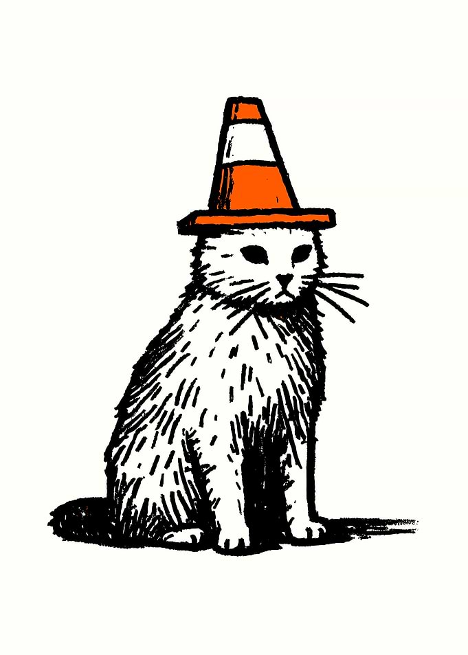 Cat Wearing a Traffic Cone Hat