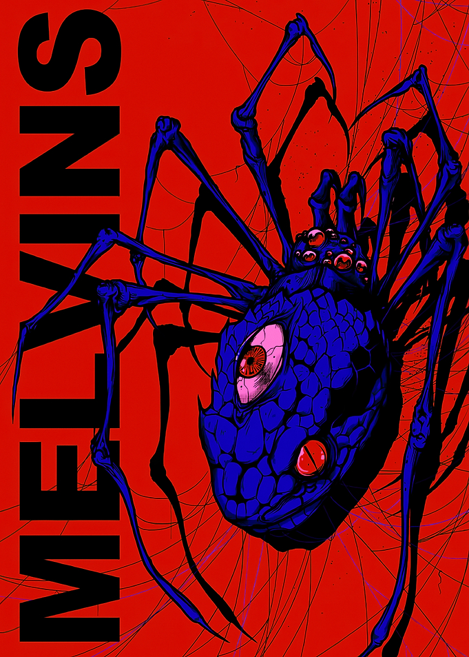 Melvin's Spider with Multiple Eyes