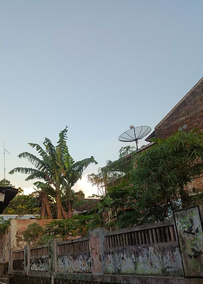 Tropical scene with satellite dish