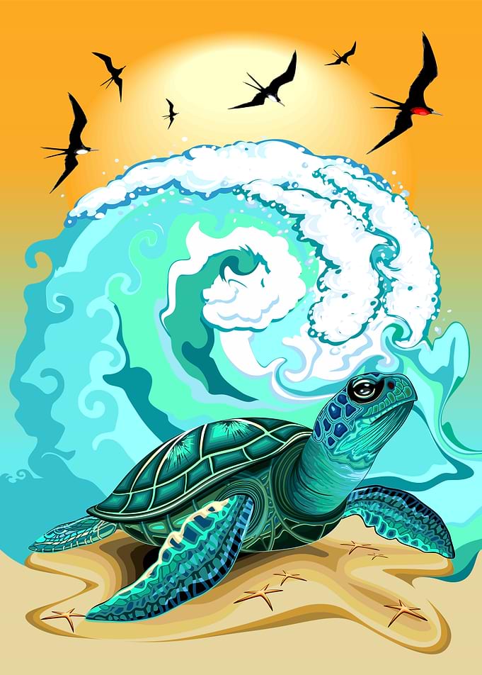 Sea Turtle Ocean Wave and Frigate Birds