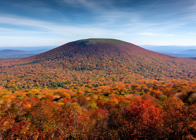 Autumn Mountain Forest Landscape