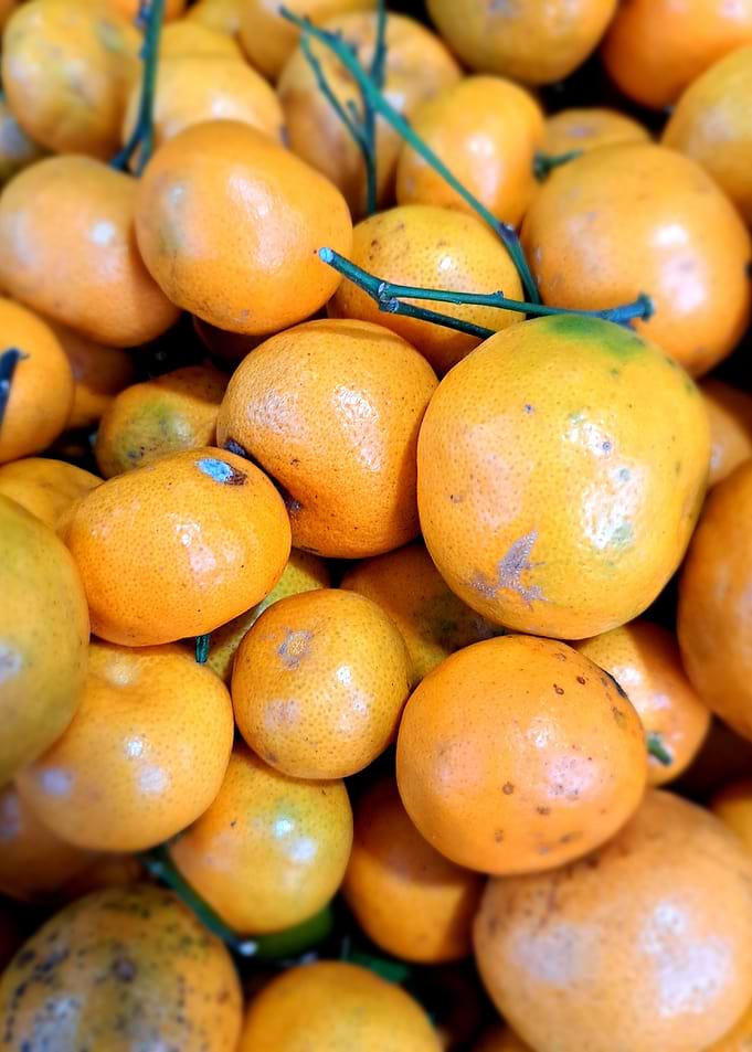 Pile of fresh oranges