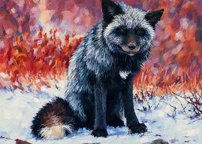 Silver Fox in Snowy Landscape