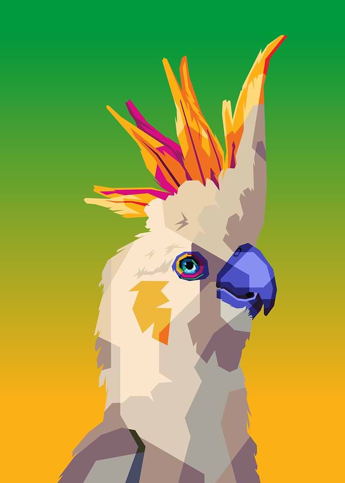 Colorful Cockatoo Portrait