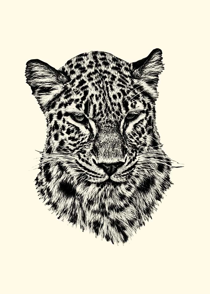 Leopard Portrait Sketch