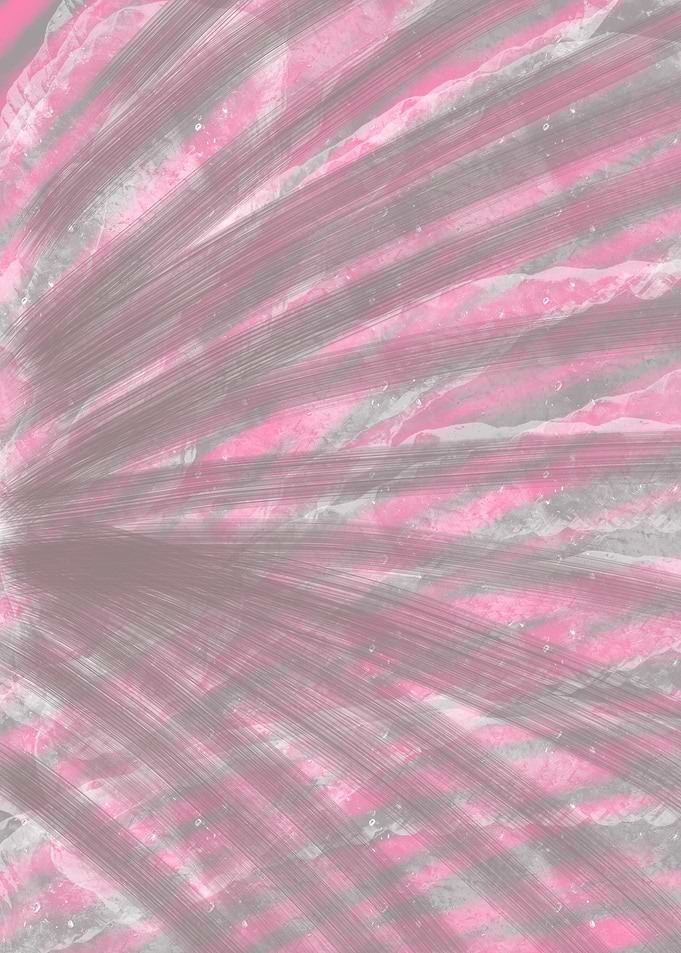 Abstract Pink and Gray Brush Strokes