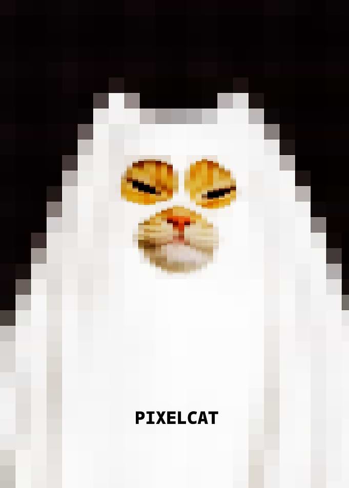 Pixelated Cat Poster
