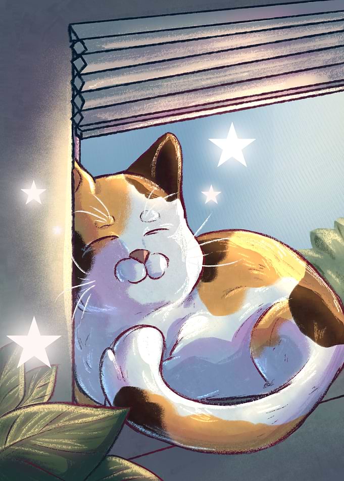Cute Calico Cat Sleeping in Window