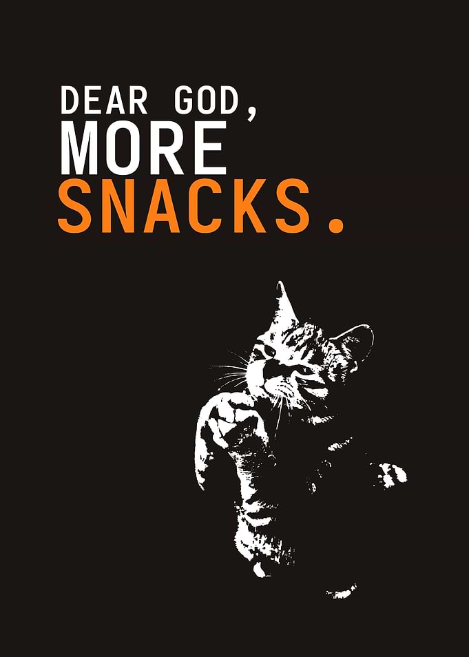 Cat Demands More Snacks